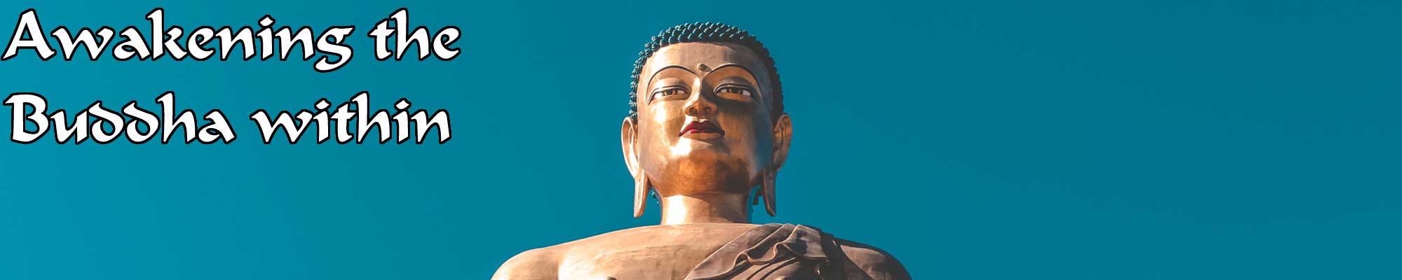 Buddha - Online LIVE QiGong Energy Meditations for Health Wellness Consciousness Expansion