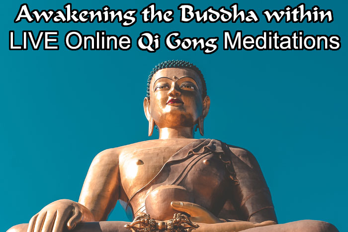 Buddha 1- Online LIVE QiGong Energy Meditations for Health Wellness Consciousness Expansion