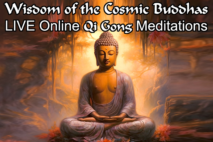 Online LIVE Energy Meditation - QiGong meditation series - Wisdom of the Cosmic Buddhas image2